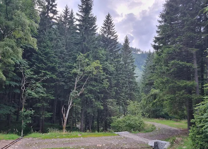 Apartament Trzy Szlaki - Gory Na Wyciagniecie Reki, Przy Szlakach Na Sniezke, Wygodnie, Cicho, Spokojnie, Bezplatny Parking شقة